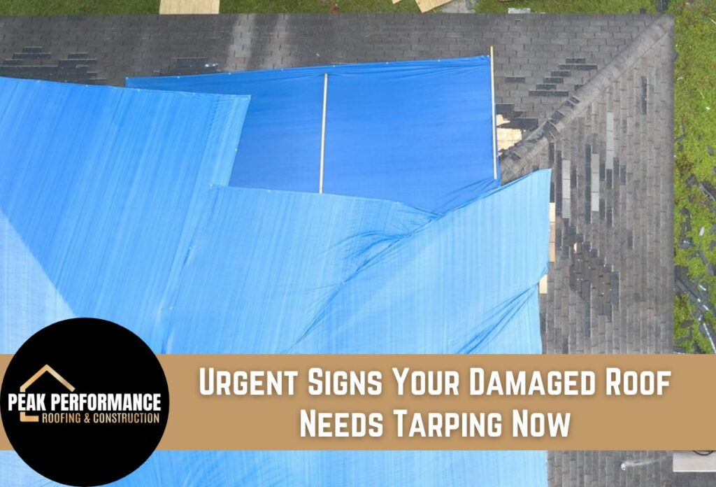 Urgent Signs Your Damaged Roof Needs Tarping Now