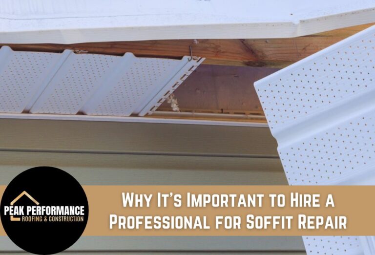 Offit Replacement Why Hire a Professional for Soffit Repair: Protect Your Home