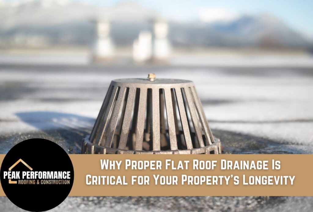 Why Proper Flat Roof Drainage Is Critical for Your Property's Longevity