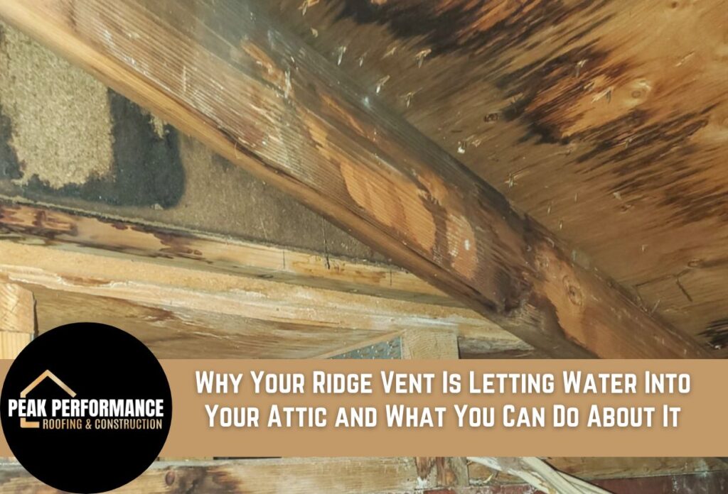 Water damage in attic from faulty ridge vent showing wet wooden beams and ceiling