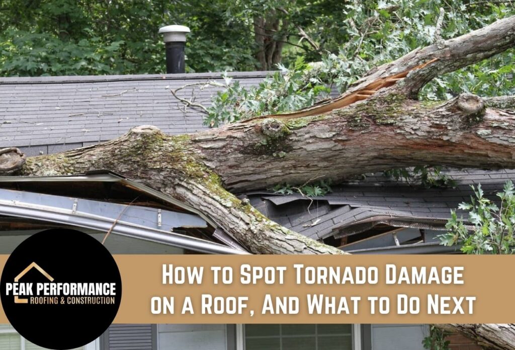 Large tree fallen on house roof causing severe damage, post-tornado scene.